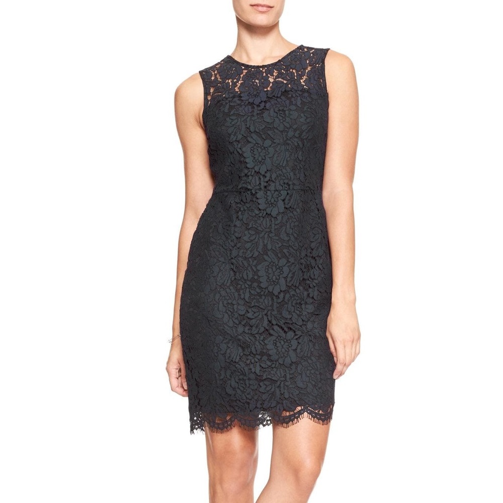 Petite Navy Blue Lace sheath